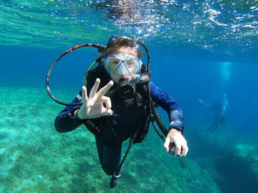 Calvi: Introduction to Diving Dive with an Instructor - Meeting the Team at Port de Plaisance