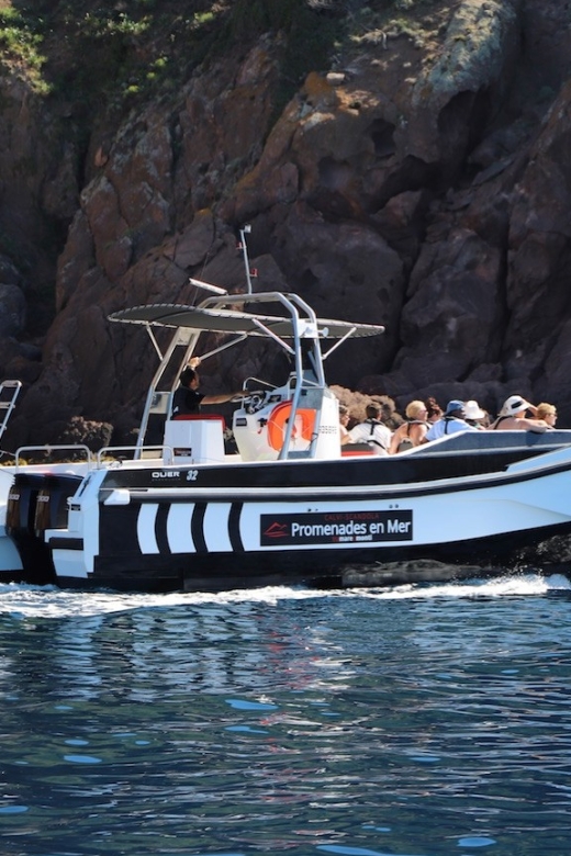 Calvi: Scandola and Girolata 6-Hour Boat Tour - Scandola Nature Reserve from a small boat