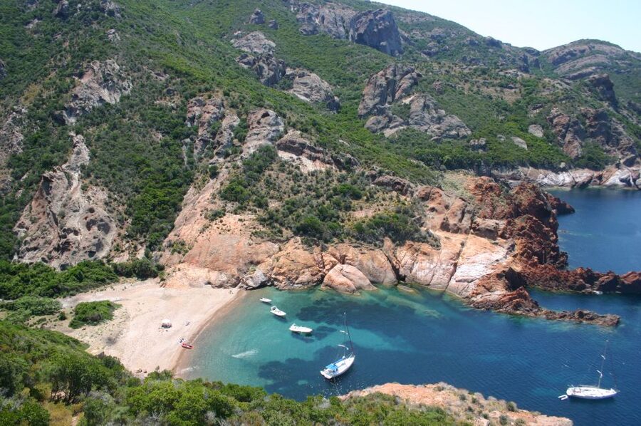 Calvi to Scandola: 4-Hour Boat Tour - Key points to know before booking