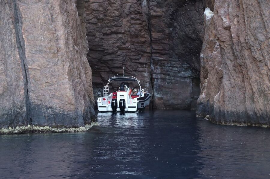 Calvi to Scandola: 4-Hour Boat Tour - Leaving Calvi on the Santa Regina