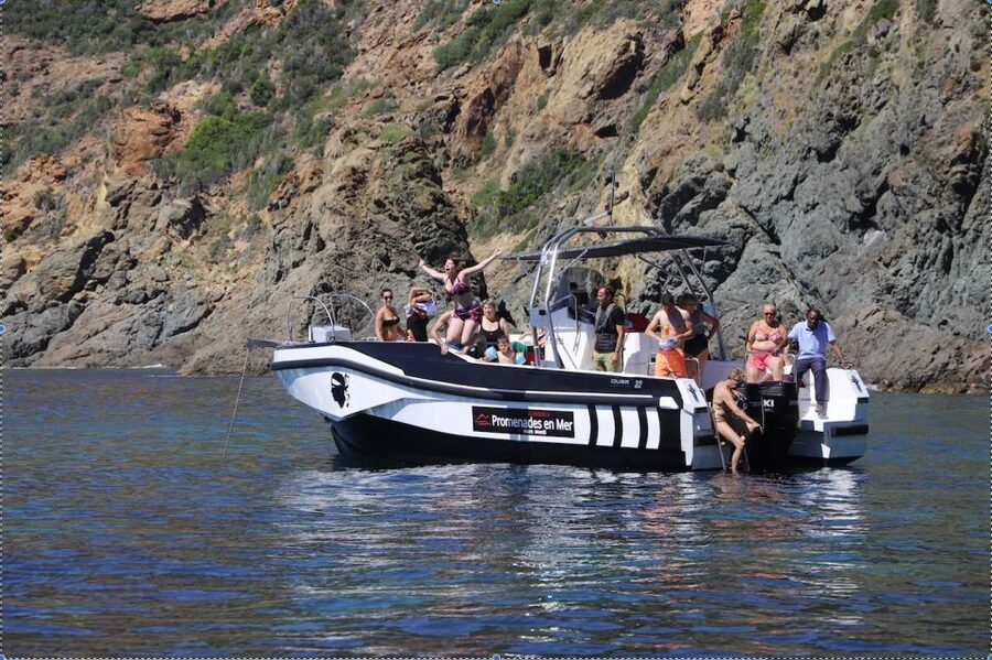 Calvi to Scandola: 4-Hour Boat Tour - The return to Calvi and the Corsican aperitif