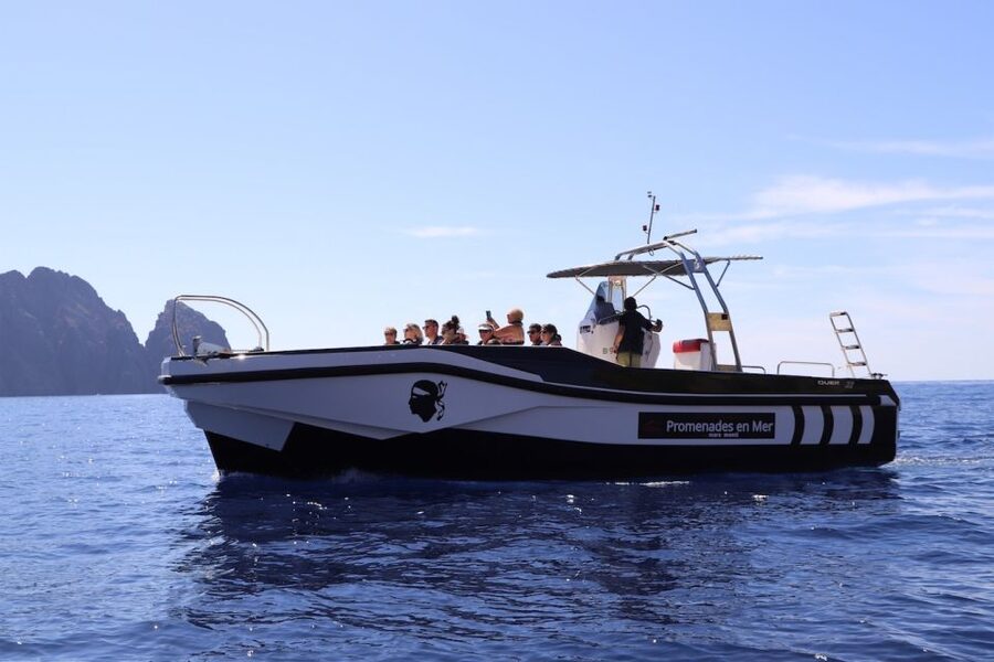 Calvi to Scandola: 4-Hour Boat Tour - Is $105 a fair price?