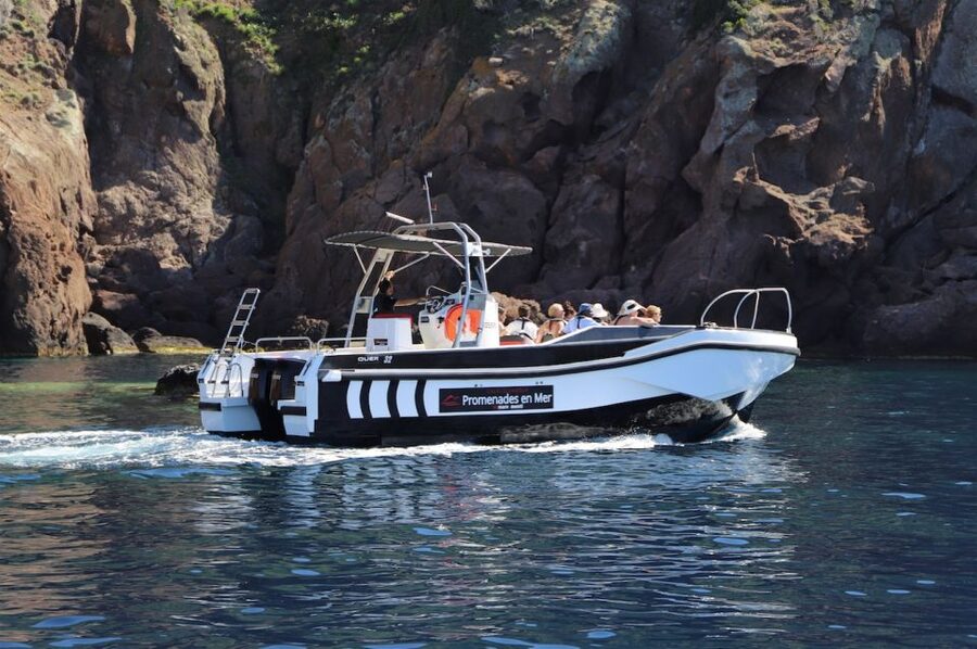 Calvi to Scandola: 4-Hour Boat Tour - Calvi to Scandola: final verdict