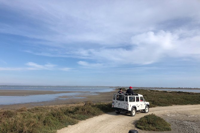 Camargue 4x4 Safari 2 hours Saintes Maries de la Mer - Practical advice for arriving in Saintes-Maries-de-la-Mer