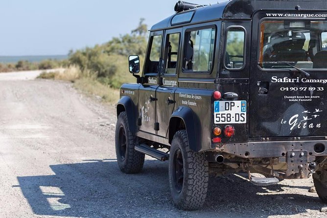 Camargue 4x4 Safari 2 hours Saintes Maries de la Mer - What you actually see during the two hours
