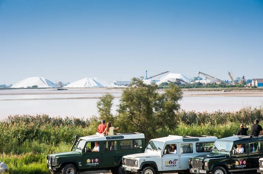 Camargue: Half-Day 4x4 Guided Safari Adventure - Is the Camargue 4x4 safari worth $75?