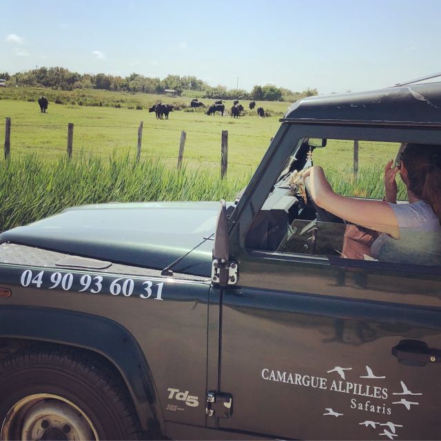 Camargue: Safari from Saintes-Maries-de-la-Mer - Why the Camargue makes a good short safari