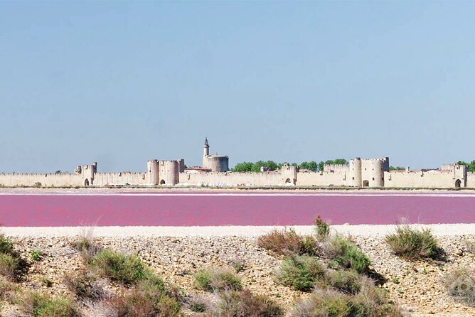 Camargue Small-Group Day Trip from Avignon - What the $144.82 price gets you
