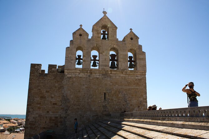 Camargue Small-Group Day Trip from Avignon - Who will enjoy this day most
