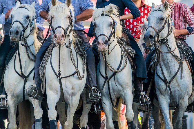 Camargue Small-Group Day Trip from Avignon - The ride from Avignon to Pont de Gau