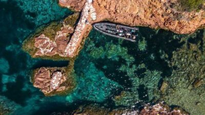 Cannes: 2.5-Hour Esterel Calanques Boat Excursion