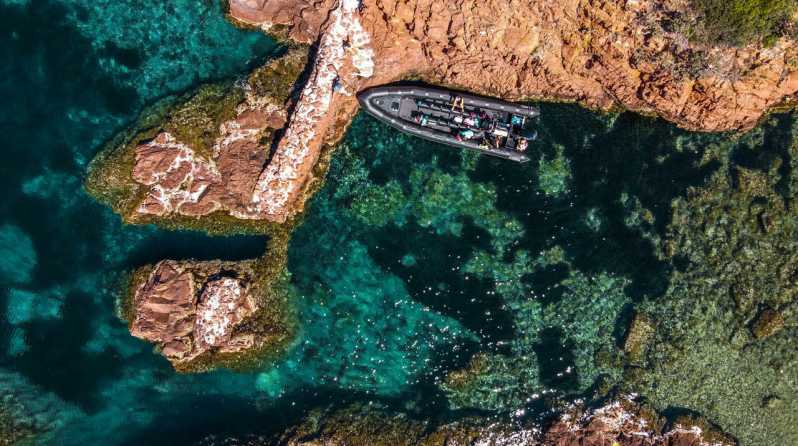 Cannes: 2.5-Hour Esterel Calanques Boat Excursion - Meeting at Port du Béal in Cannes