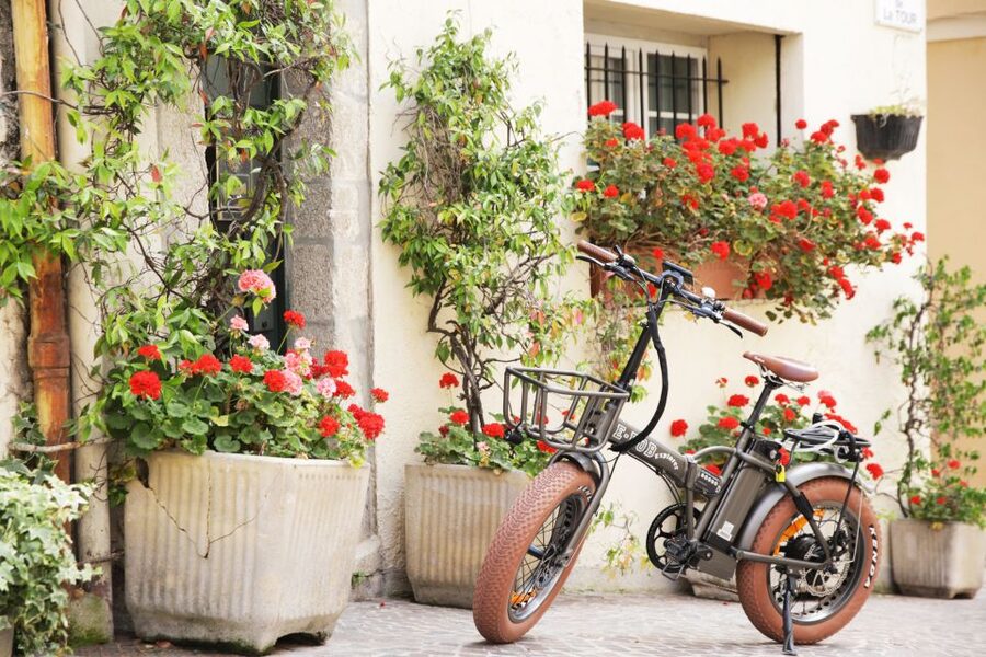 Cannes 2-Hour E-bike Tour - Who will enjoy this Cannes ride most?