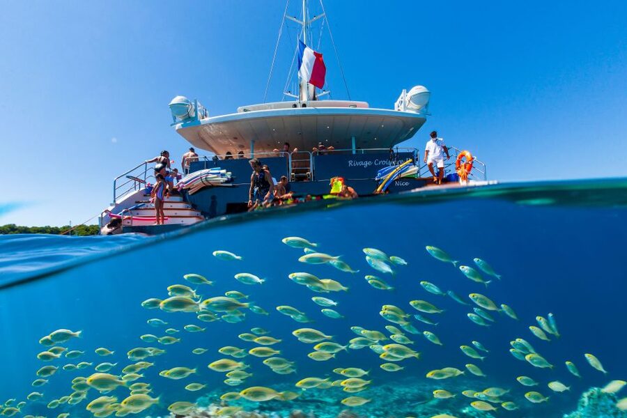 Cannes: Half-Day Catamaran Cruise - Key points before you book