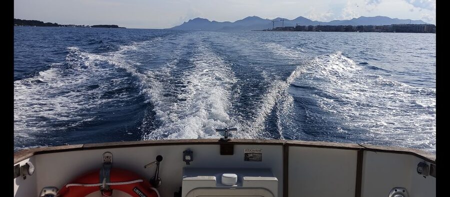 Cannes: Private Boat Trip to Lerins Islands & Cap d'Antibes - What Philippe adds to the day