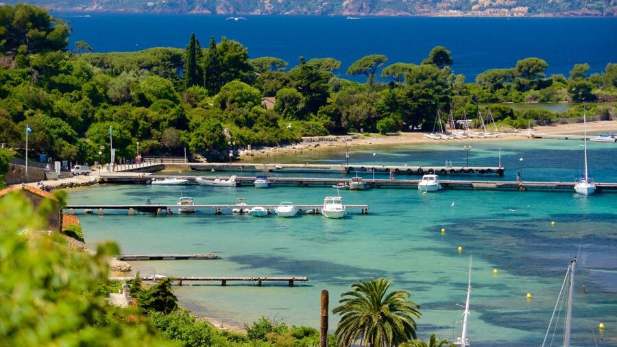 Cannes: Private Boat Trip to Lerins Islands & Cap d'Antibes - Starting at Camille Rayon Marina