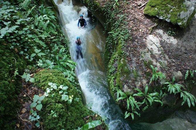 Canyoning discovery 3h in Aix les bains / Chambéry: Ternèze - Why Ternèze works well for a first canyoning trip