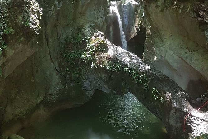 Canyoning discovery 3h in Aix les bains / Chambéry: Ternèze - Is $71.20 good value?
