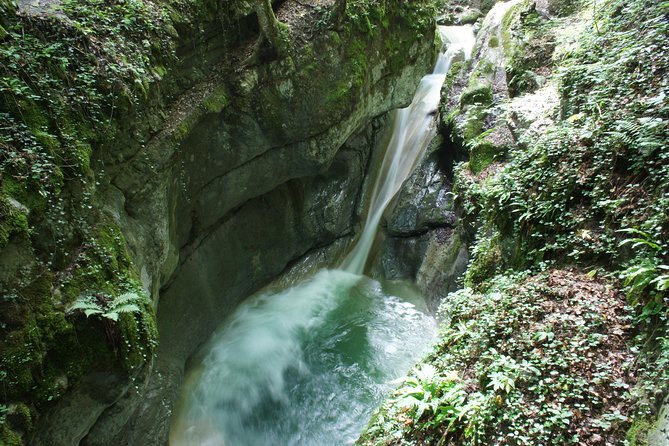 Canyoning discovery 3h in Aix les bains / Chambéry: Ternèze - Weather, booking, and practical planning