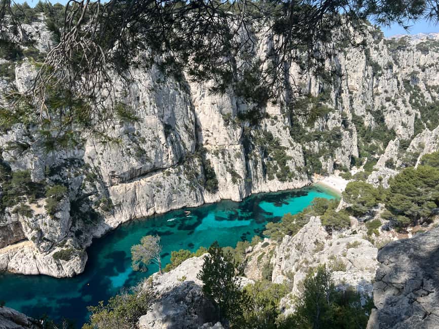 Cassis: 3 Calanques Half-Day Hiking Tour with Swimming - Port-Pin: your best chance for a swim