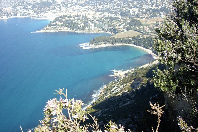Cassis Half-Day Trip from Aix-en-Provence - Market days: Wednesday and Friday