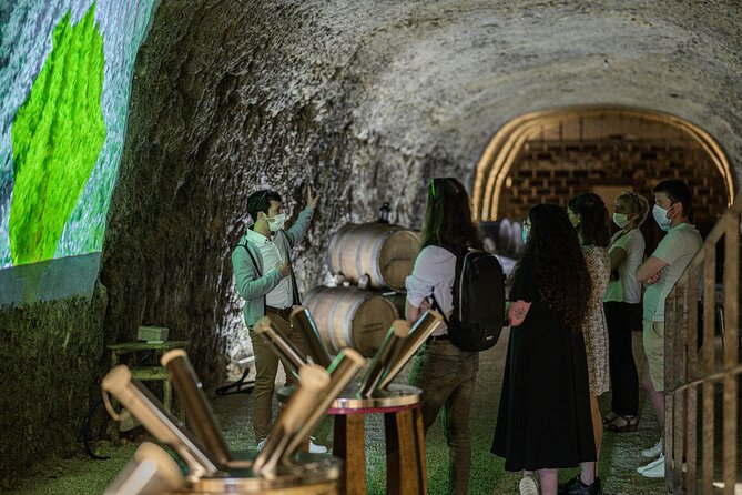 Caves Ambacia, Tour and Wine Tasting in Amboise, Loire Valley - Cheese and charcuterie show what wine can do
