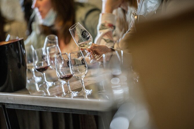 Caves Ambacia, Tour and Wine Tasting in Amboise, Loire Valley - Is $33.88 a good value?