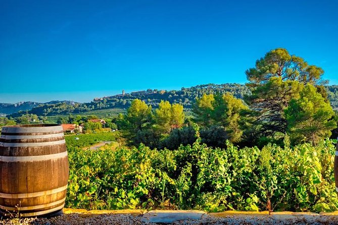 Cellar Visit & Bandol Wine Tasting (in French) - The real price is the ride to the estate