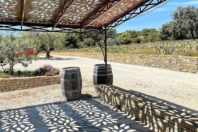 Cellar Visit & Bandol Wine Tasting (in French) - A French-language experience with a local feel