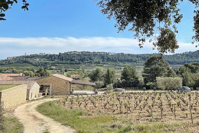 Cellar Visit & Bandol Wine Tasting (in French) - Timing your visit and planning the meeting point