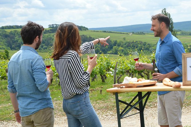 Chablis and Burgundy Wine Tour Run by Sommelier with Lunch - Seeing the vineyards before tasting the wine