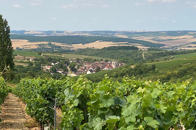 Chablis and Burgundy Wine Tour Run by Sommelier with Lunch - Irancy and the smaller side of Burgundy