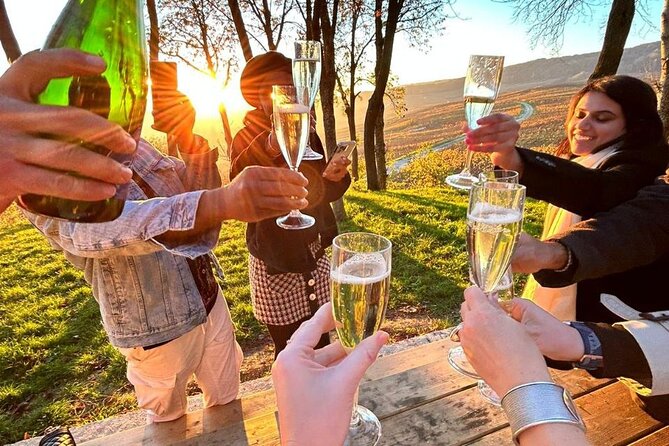 Champagne and Reims Tasting Day Trip from Paris - A family producer and the taste of place