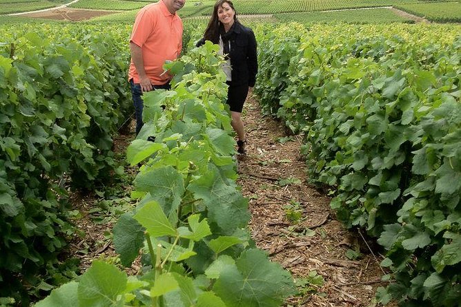 Champagne Area Small-Group Tour including a Top Champagne house & Family Winery - From Paris to the vineyards at 7:30 a.m.