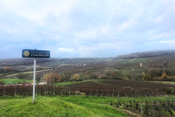 Champagne Area Small-Group Tour including a Top Champagne house & Family Winery - Lunch and the possible Reims stop