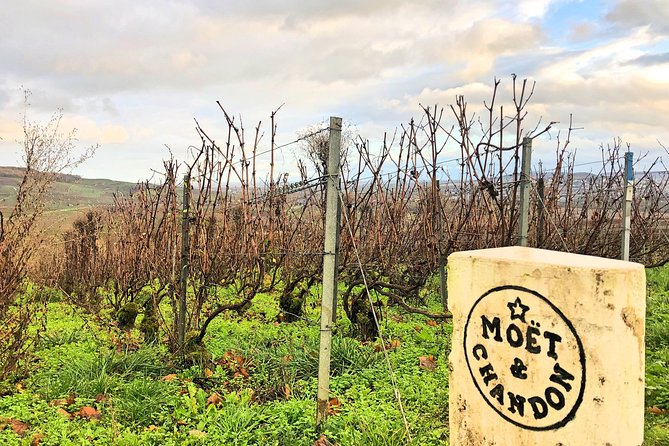 Champagne Area Small-Group Tour including a Top Champagne house & Family Winery - Hautvillers and the tomb of Dom Pérignon