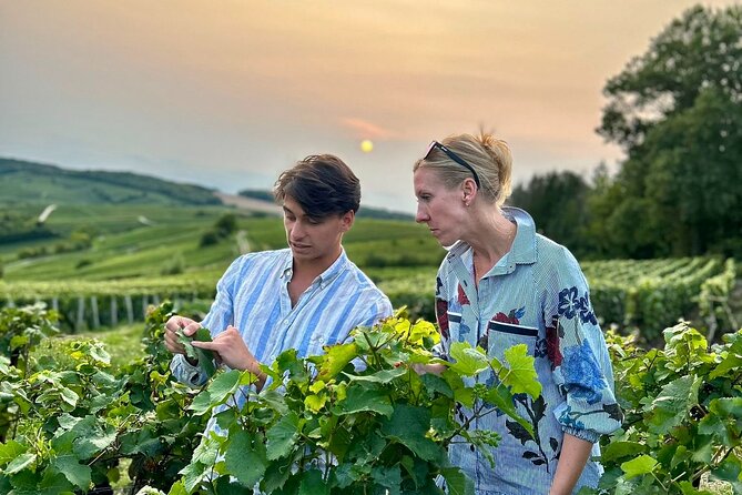 Champagne Day Trip from Paris with 8 Tastings & Lunch - The Champagne day trip at a glance