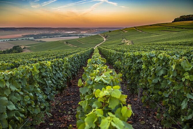 Champagne Day Trip from Reims including 9 Champagne Tastings - Hautvillers and the Dom Pérignon Connection