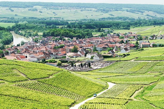 Champagne Day Trip with 6 Tastings, Reims and Winery from Paris - Nicolas Feuillatte: Champagne at a larger scale