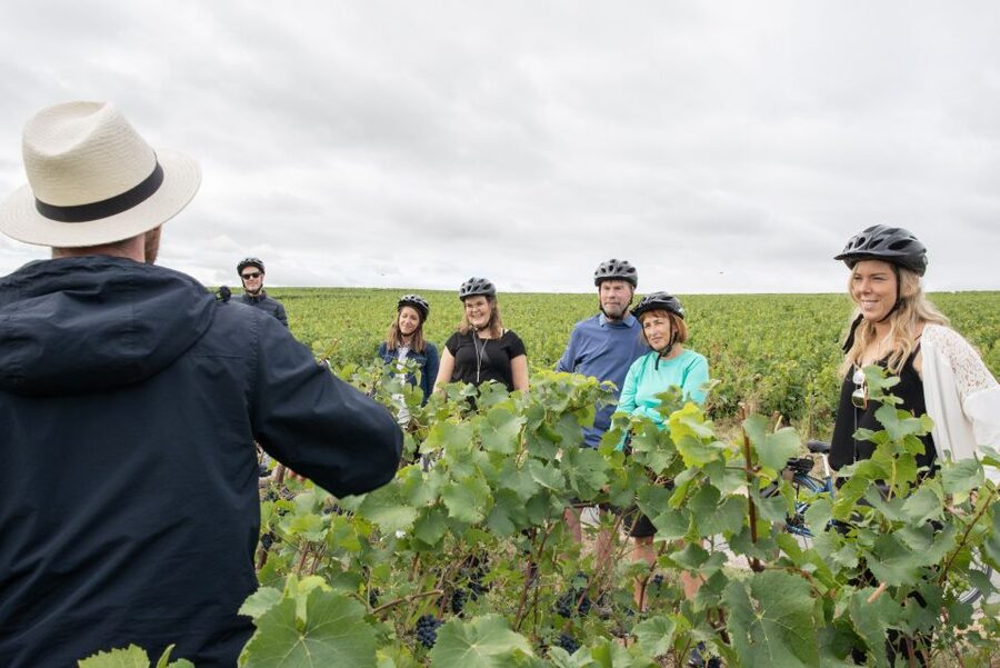 Champagne: E-Bike Champagne Day Tour with Tastings and Lunch - Should you book the e-bike Champagne day tour?
