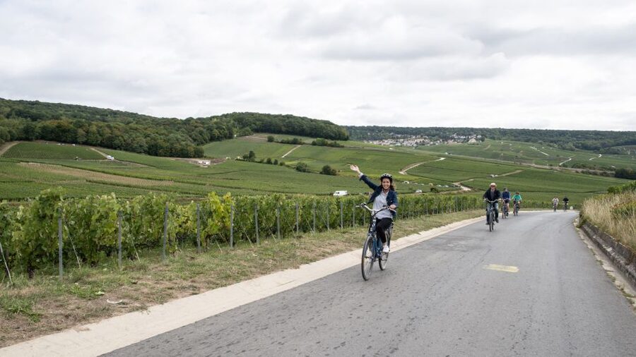 Champagne: E-Bike Champagne Day Tour with Tastings and Lunch - Le Clos Corbier: cellar, tasting, and lunch