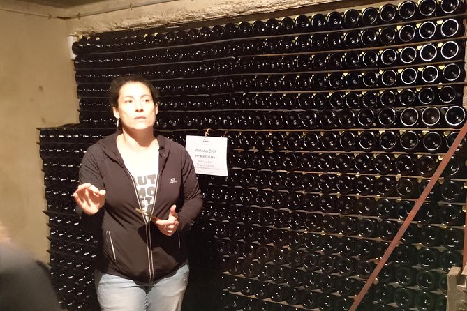 Champagne Lamiable: Traditional Tour & Tasting - Why Champagne Lamiable feels different