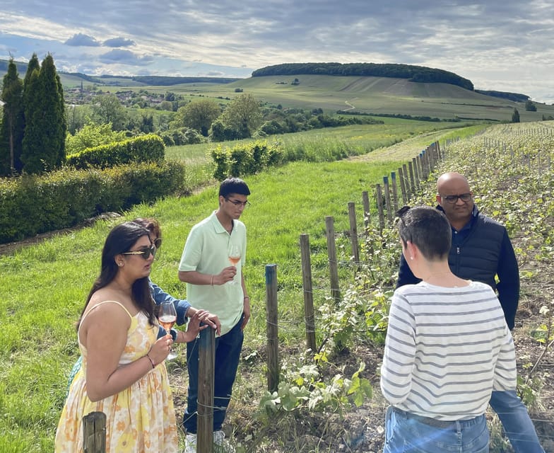Champagne Munoz Bruneau : Half Day Visit and Tasting - Who Will Enjoy This Champagne Tour Most?