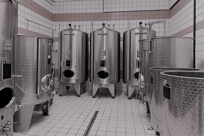 Champagne Munoz Bruneau : Half Day Visit and Tasting - Hautvillers Viewpoint and the Marne Valley