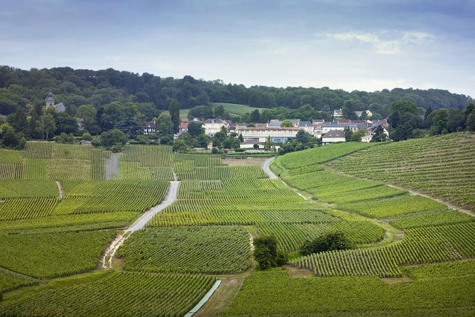 Champagne Region Private Day Trip from Paris - Key points at a glance