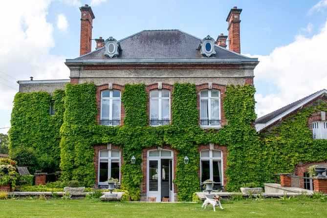 Champagne Tasting Class and Lunch near Epernay - Old cellars and the traditional Champagne process