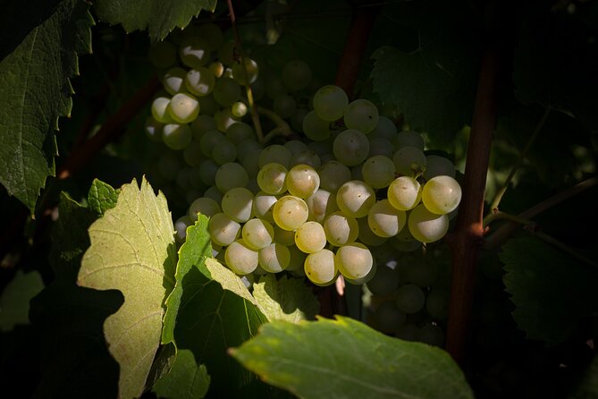 Champagne Tasting Tour Day Trip From Paris - Avenue de Champagne reveals the business behind the bottle