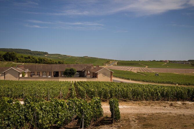 Champagne Tasting Tour Day Trip From Paris - What the tastings are really worth
