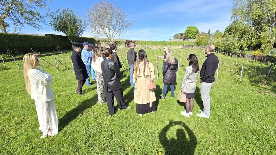Champagne Vineyard Experience: Delve into the terroir - Should you book Champagne Harlin?