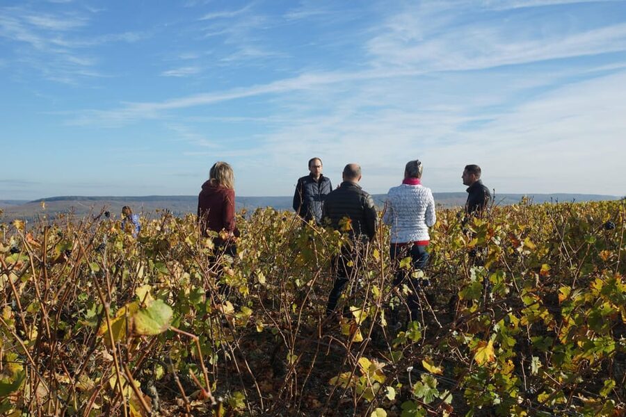 Champagne Vineyard Experience: Delve into the terroir - Tasting Champagne and Ratafia Champenois